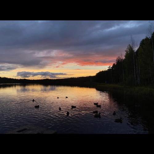 Photo #13518556