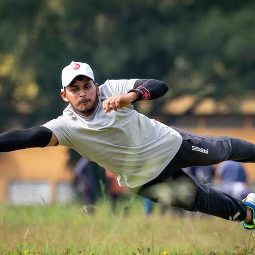 Dynamic cricket catch