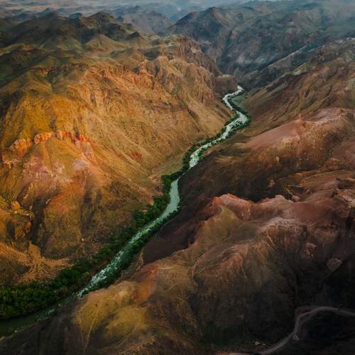 Photo #13518936
