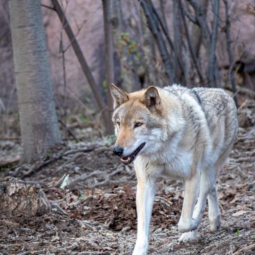 Photo #13519083