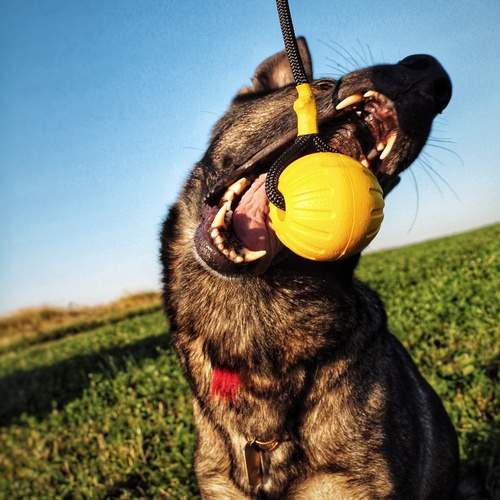 Photo #13519193