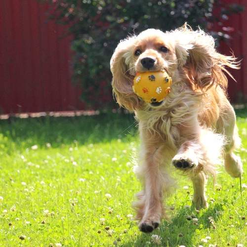 Photo #13519194
