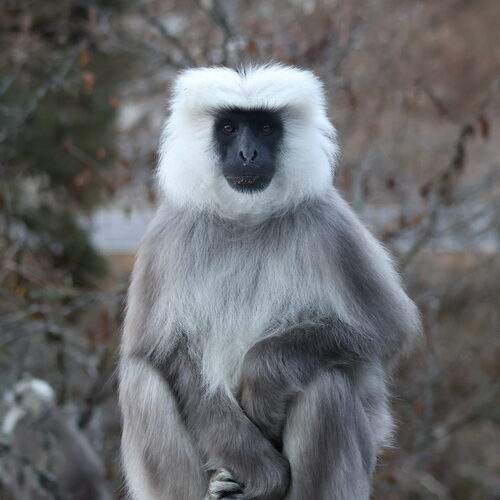 Photo #13519258
