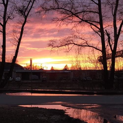Photo #13519341