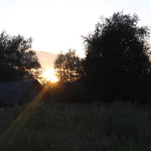 Photo #13519610