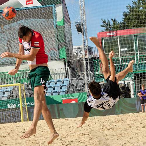 Photo #13519773