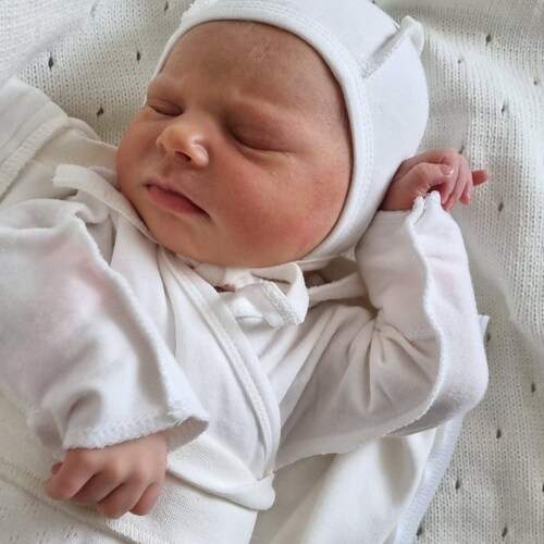 Photo #13519872