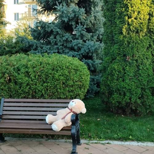 Photo #13519875