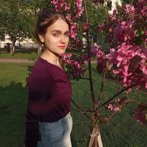 Photo #13520424