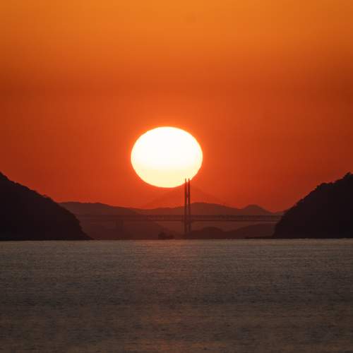 Photo #13520471