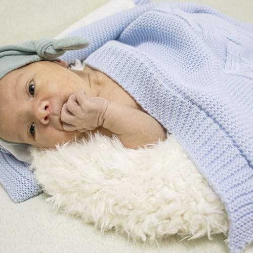 Photo #13520548