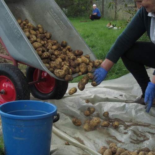 Photo #13520615