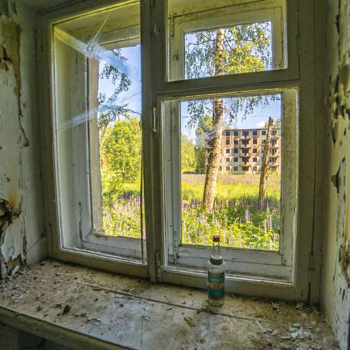 Photo #13520690