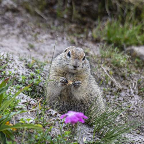Photo #13520716