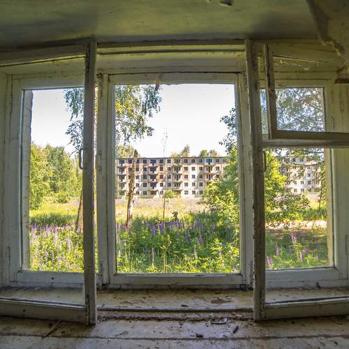 Photo #13520719