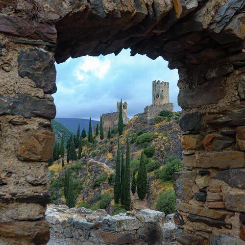 Photo #13520720