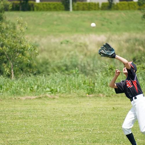 Photo #13520772