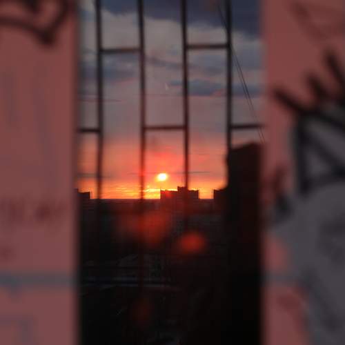 Photo #13520787