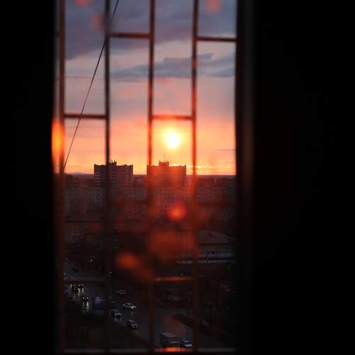 Photo #13520788