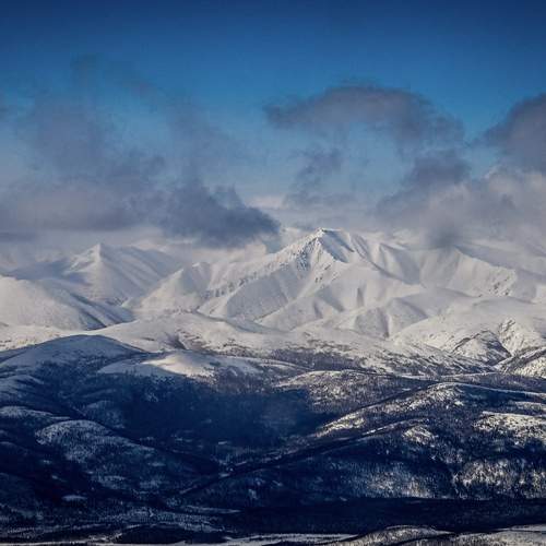 Photo #13520820
