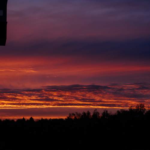 Photo #13520840