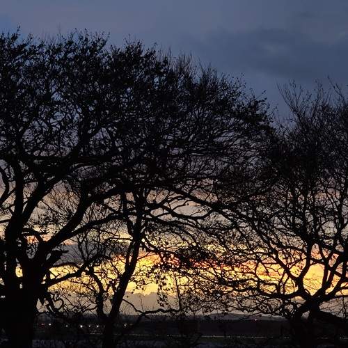Photo #13520924