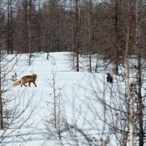 Photo #13520976