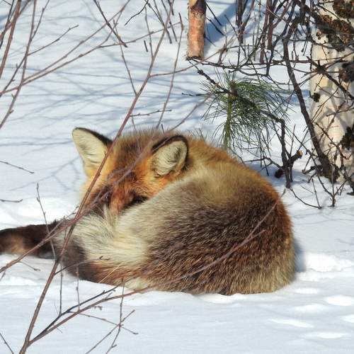 Photo #13520977