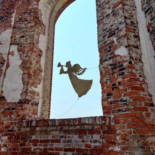 Photo #13520985