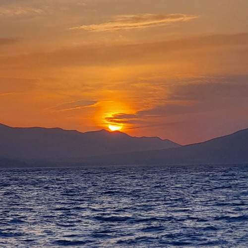Photo #13521088
