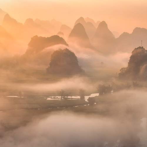 Tran Linh