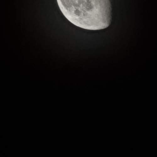 Photo #13521402