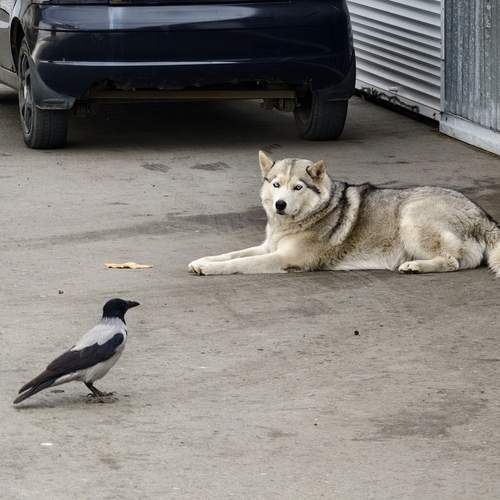 Photo #13521538