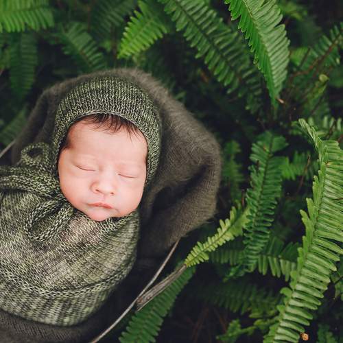 Wrapped in Green