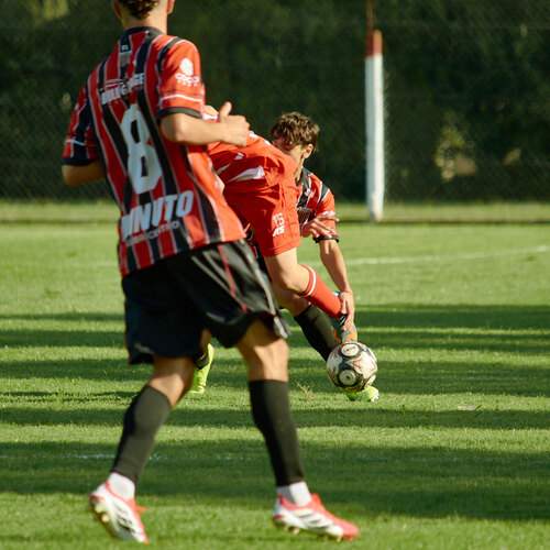 Photo #13521784