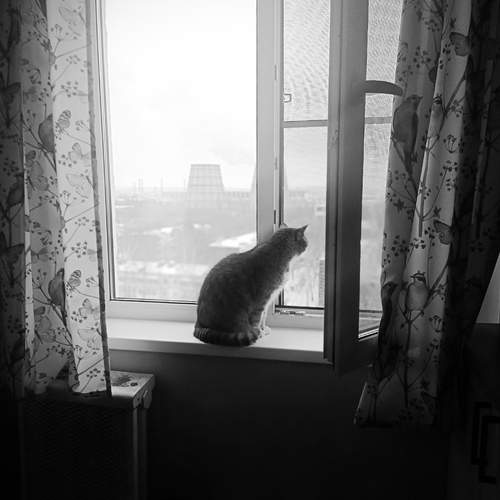 Photo #13521839