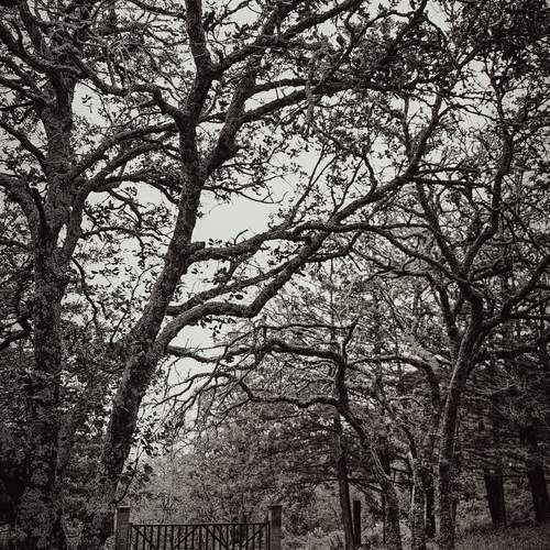 Photo #13521971