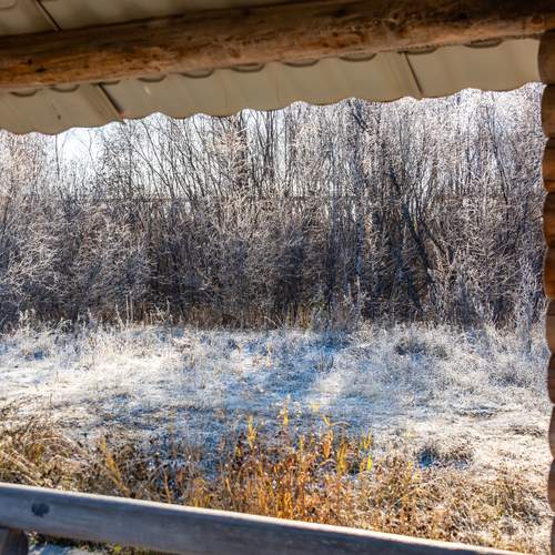 Photo #13522174