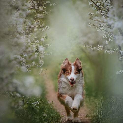 Photo #13522255