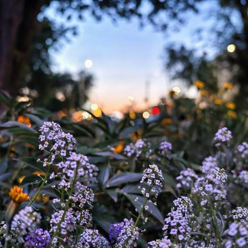 Photo #13522263