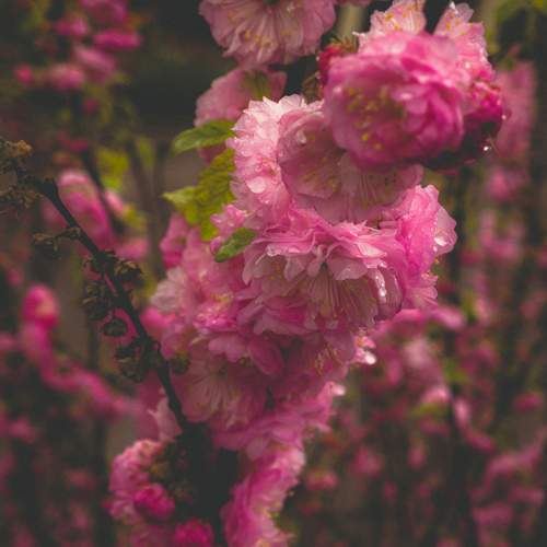 Photo #13522305