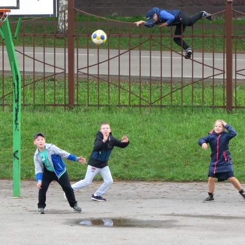 Photo #13522669