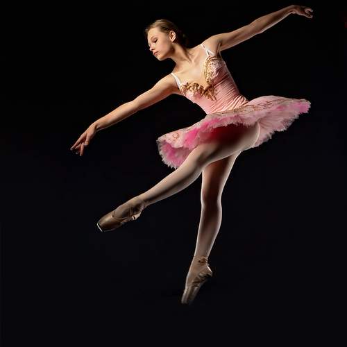 Photo #13522686