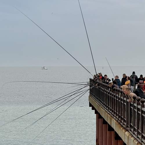 Photo #13522711