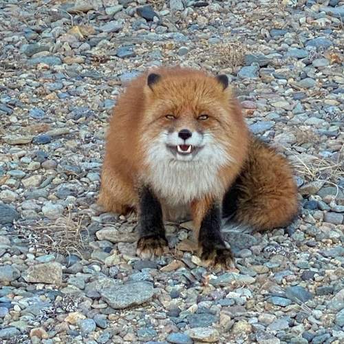 Photo #13522754