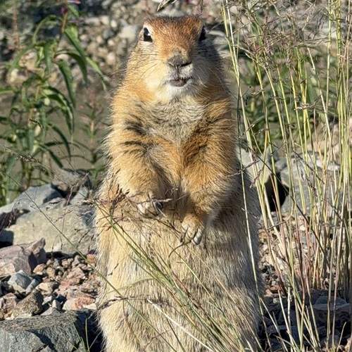 Photo #13522758