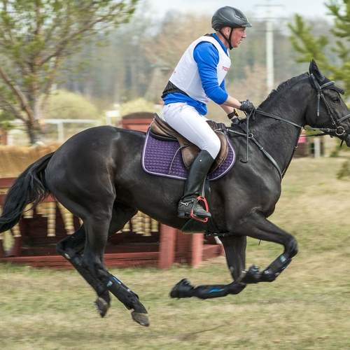 Photo #13522963