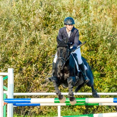 Photo #13522964