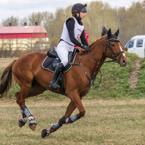 Photo #13522968