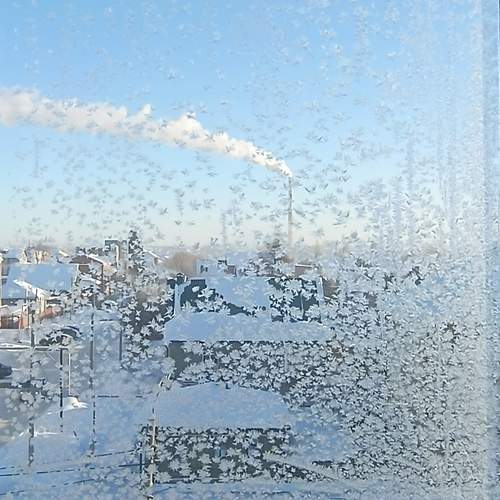 Photo #13523074